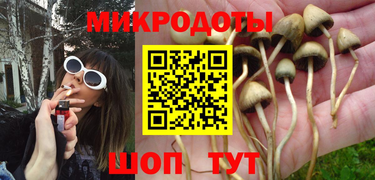Галлюциногенные грибы Magic Shrooms Апатиты